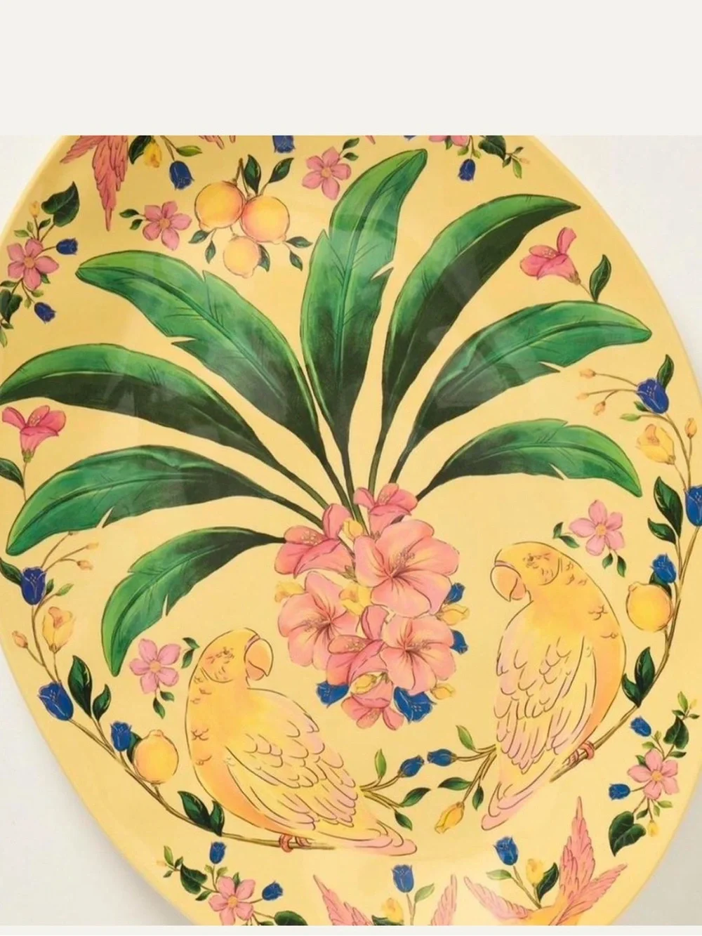 NWT Farm Rio × Anthropologie Melamine Oval Platter